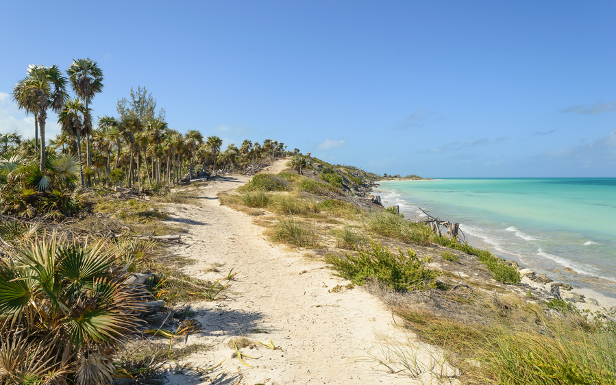 Walk on Cuban Dunes Ocean  Print