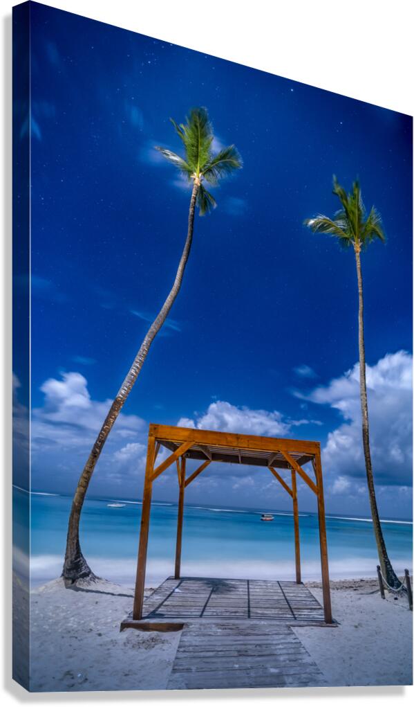 palmtrees beach night Canvas Print