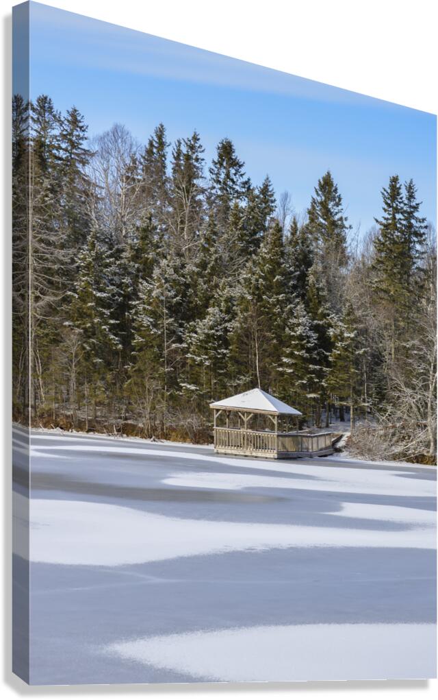 Bird sanctuary pond winter Canvas Print