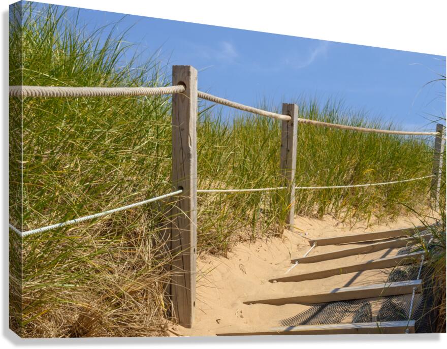Path Almost at the beach Canvas Print