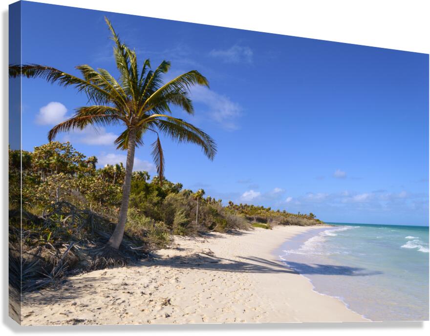Cayo Coco Cuba beach Canvas Print