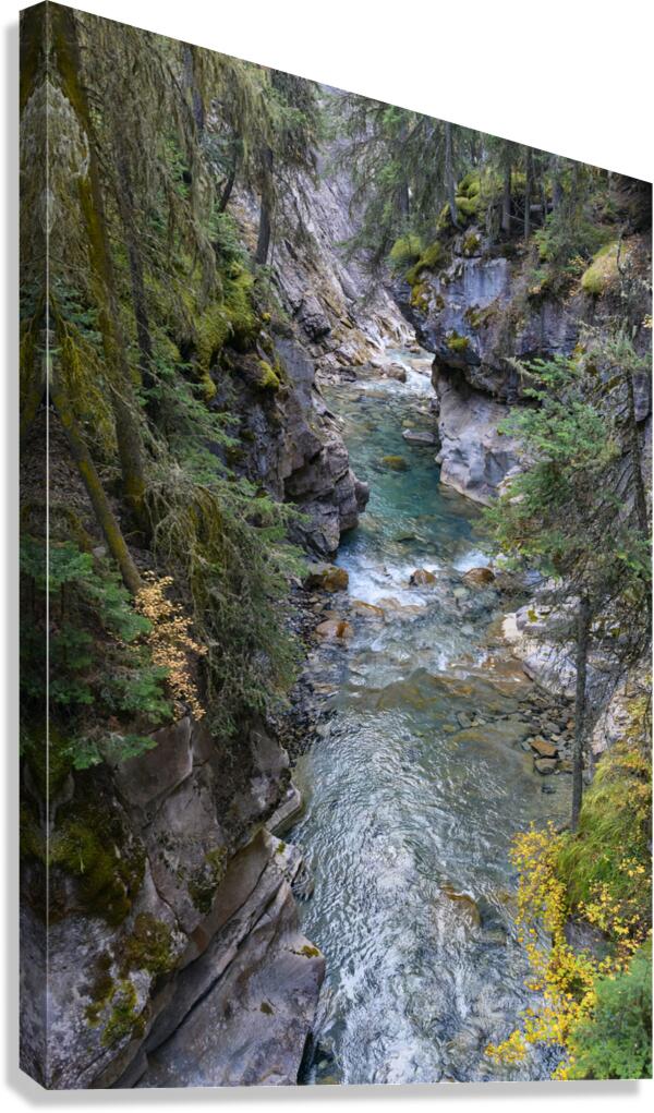 Johnston Canyon river Canvas Print