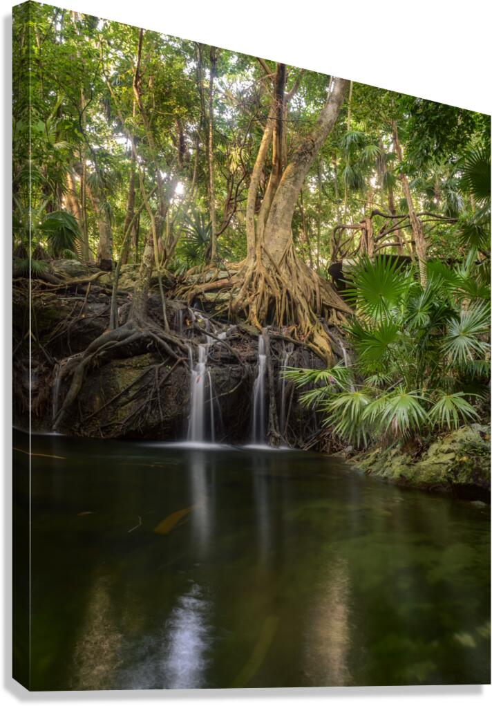 jungle tree waterfall Canvas Print