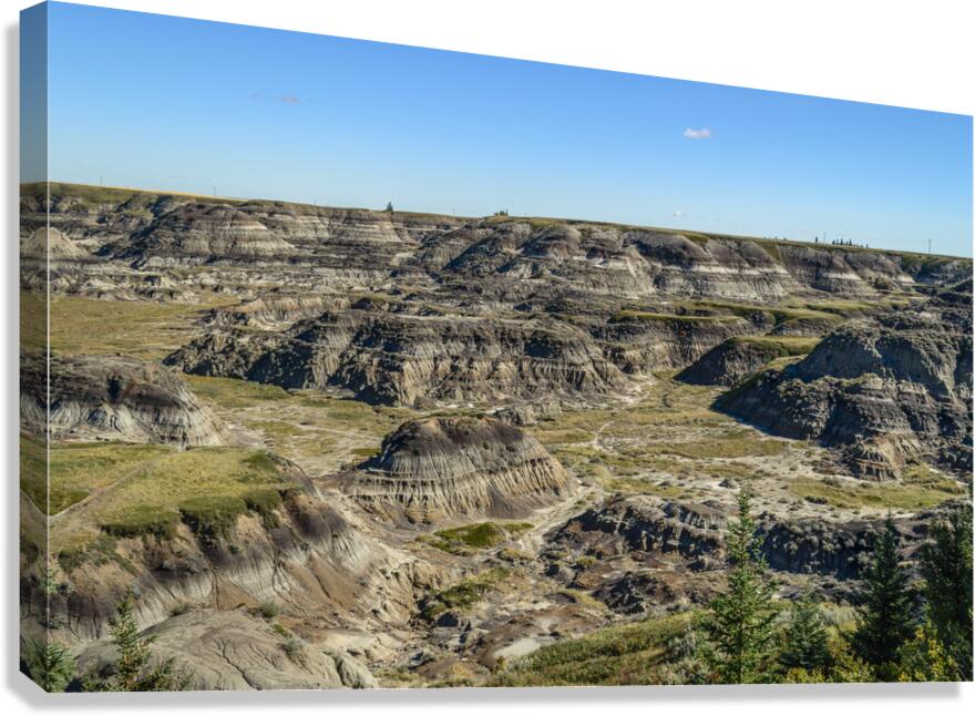 Horseshoe Canyon in Alberta Canvas Print