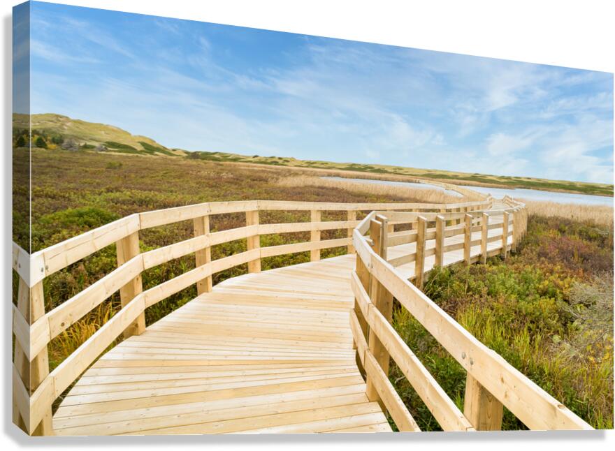 Greenwich boardwalk trail Canvas Print