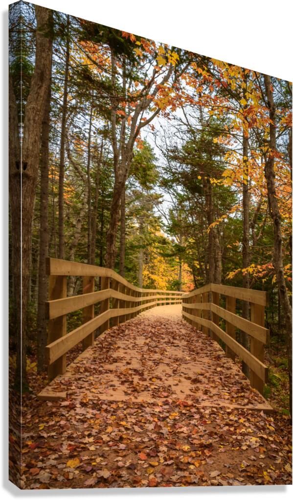fall colours boardwalk trail Canvas Print