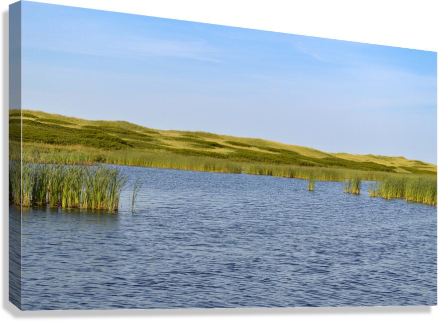 Greenwich grass dune on sky background Canvas Print