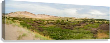 Greenwich dunes and wetlands Canvas Print