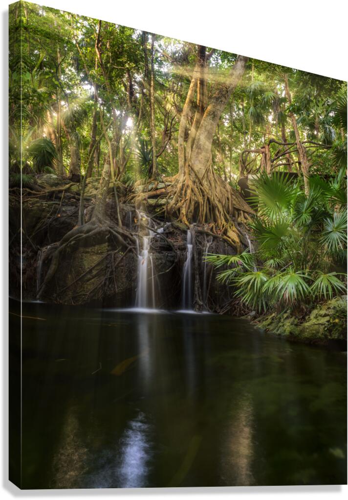Jungle tree waterfall sunrays Canvas Print