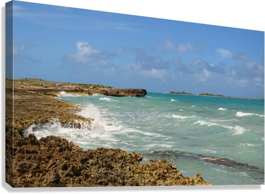 Cuban coral shore ocean view Canvas Print