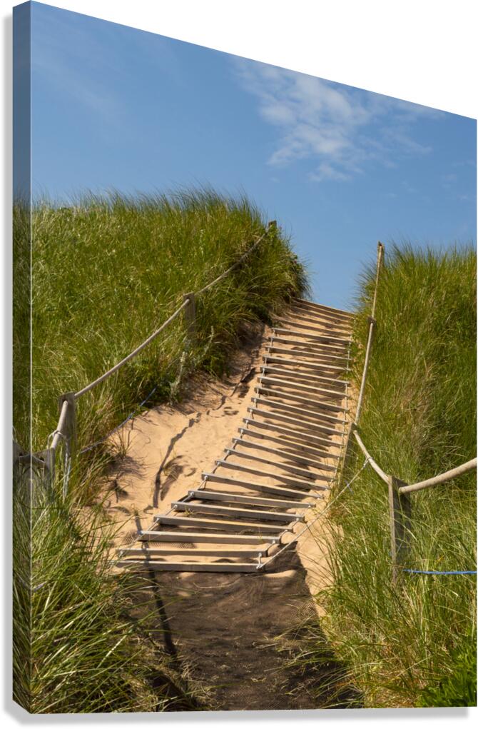 Pathway over the dunes to the beach. Canvas Print