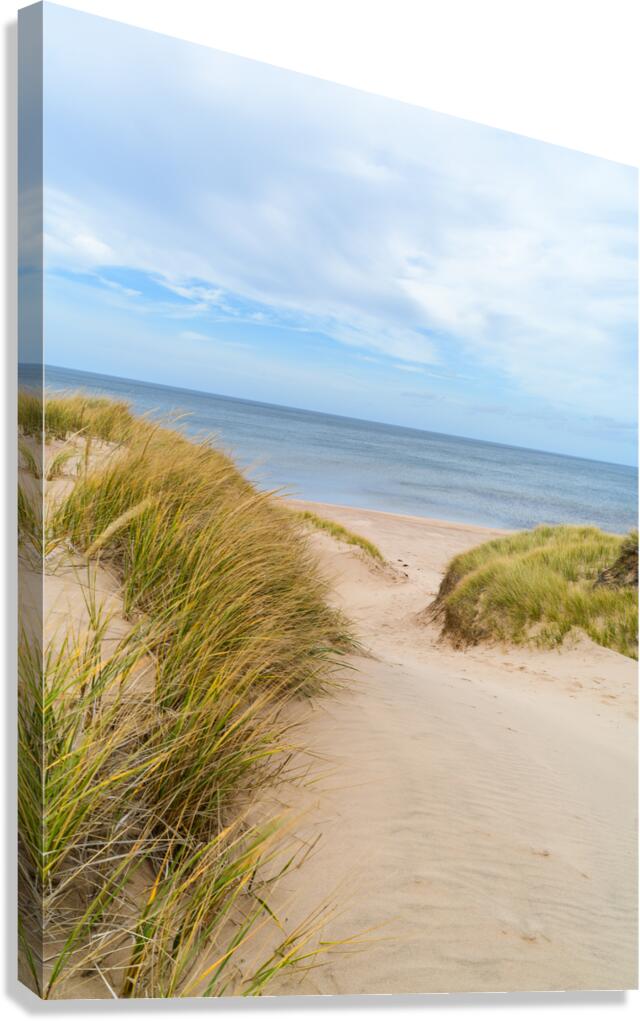 PEI sand dune beach view Canvas Print