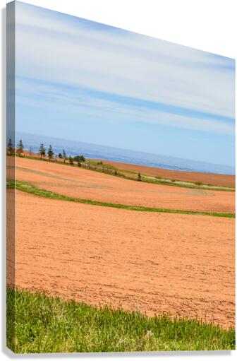 PEI red sand farm fields Canvas Print