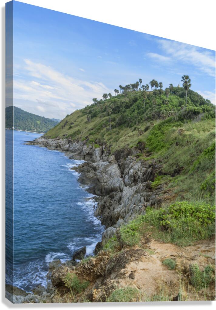 Ya-nui beach lookout point Canvas Print