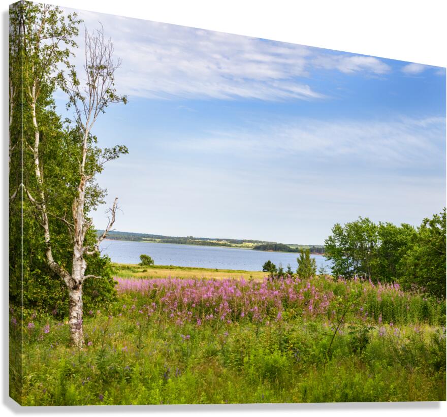 Prince Edward Island field view with ocean Canvas Print
