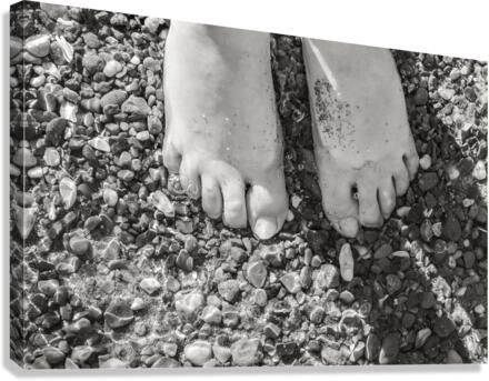Toes in the Water BW Canvas Print