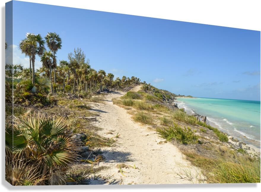 Walk on Cuban Dunes Ocean Canvas Print
