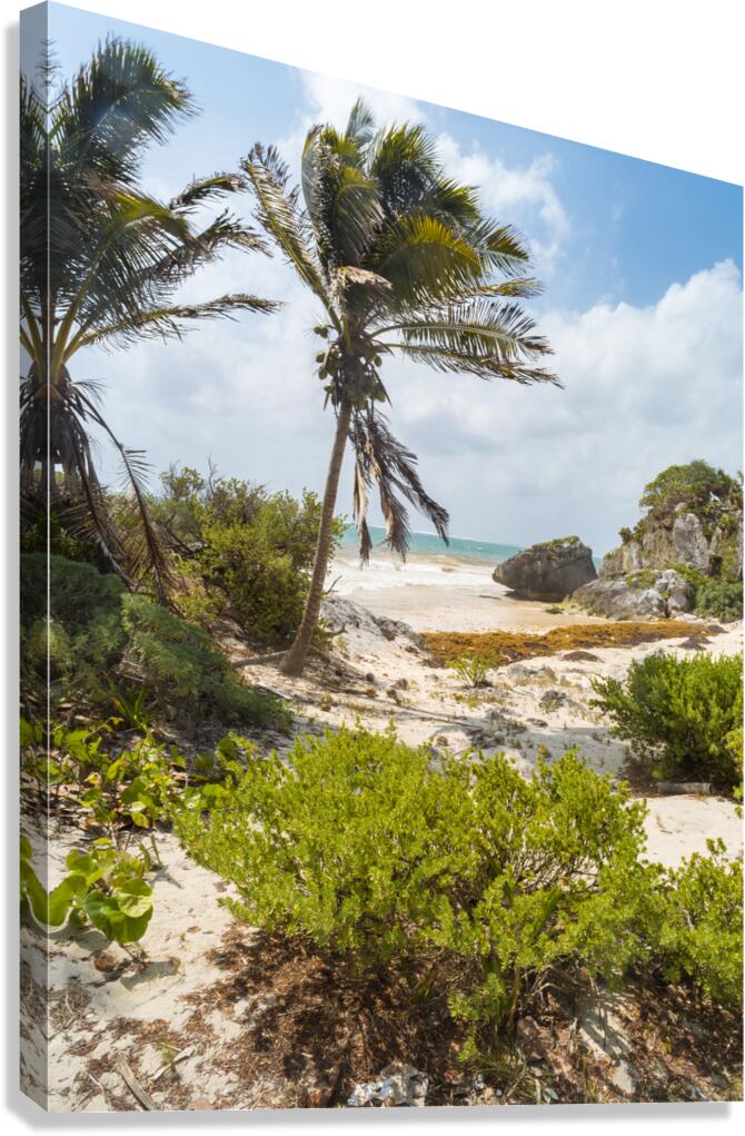 Tulum beach ocean view 4 Canvas Print