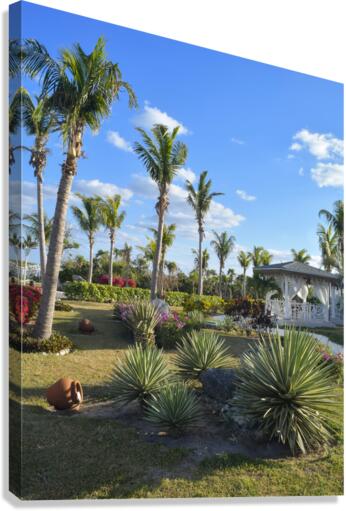Cuban resort tropical garden Canvas Print