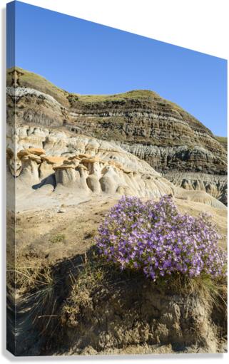 Hoodoos rocks with purple flowers Canvas Print