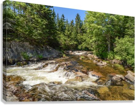 Ledge Falls Nesowadnehunk stream Canvas Print