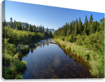 Mount Katahdin campsite Nesowadnehunk river Canvas Print