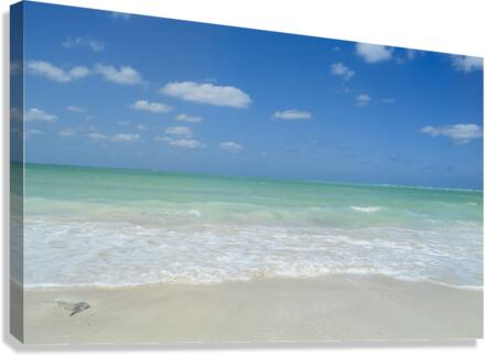 Awesome Cuban aqua beach water 4 Canvas Print