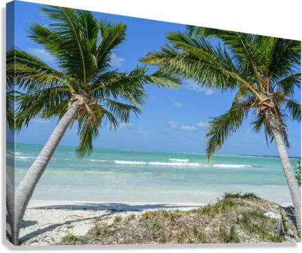 Cuban beach with 2 palmtrees Canvas Print