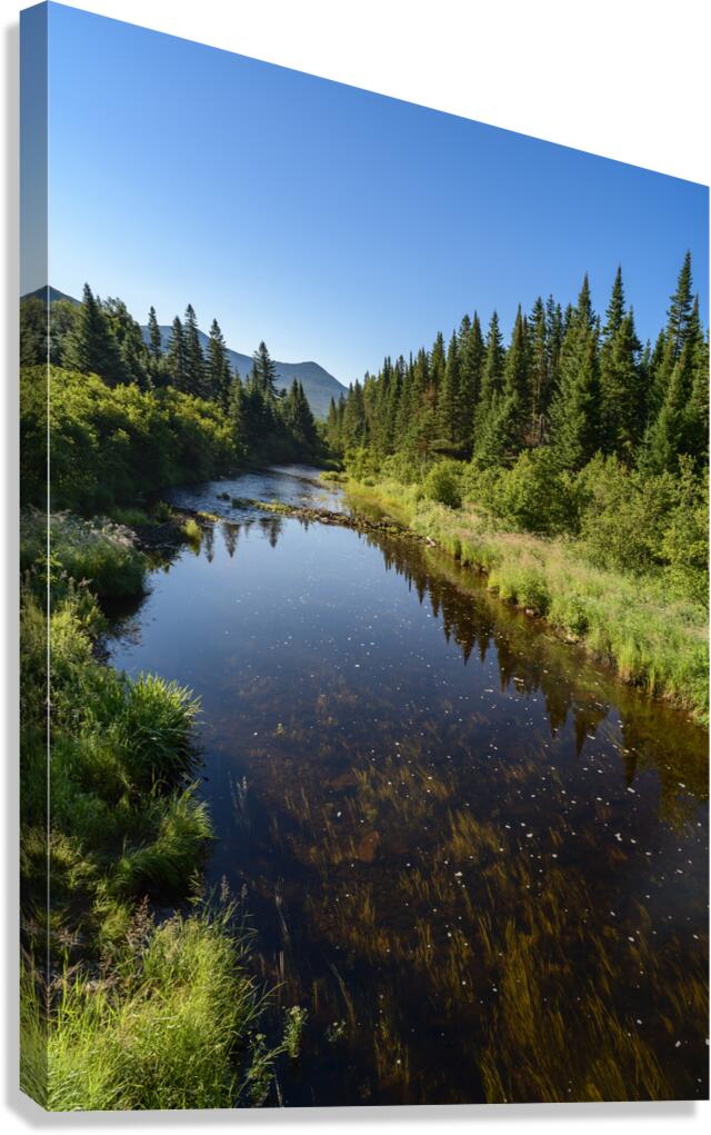 Mount Katahdin campsite Nesowadnehunk river 2 Canvas Print