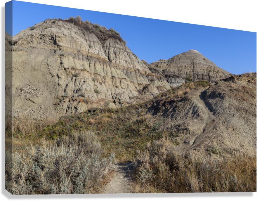 horseshoe canyon 2456 Canvas Print