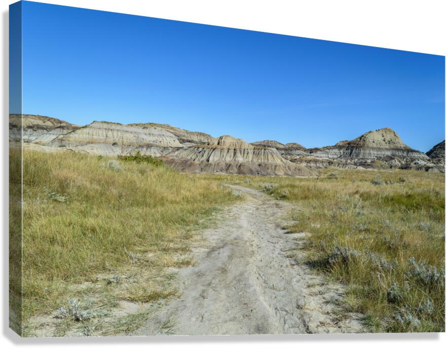 horseshoe canyon path 1540 Canvas Print