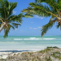 Cuban beach with 2 palmtrees