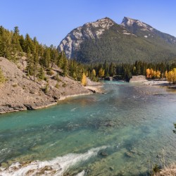 bow river bend 2621