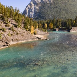 bow river bend 2 2624