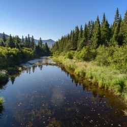Mount Katahdin campsite Nesowadnehunk river