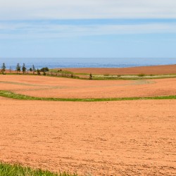PEI red sand farm fields