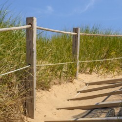 Path Almost at the beach