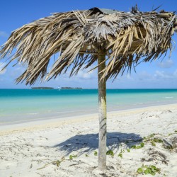 Beach umbrella cuban 2