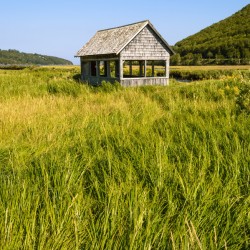 Cape Breton Valley Ingonish
