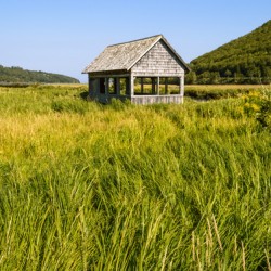 Cape Breton valley 2