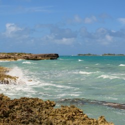 Cuban coral shore ocean view