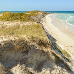 Cayo Coco Cuban Dune