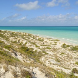 Cuban Dune View Ocean