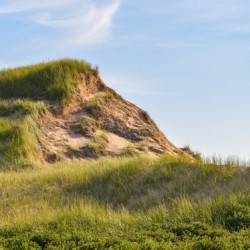 Greenwich grass dune on sky background