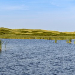 Greenwich grass dune on sky background