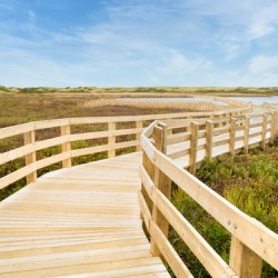 Greenwich boardwalk trail