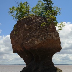 Hopewell Rock head silhouette