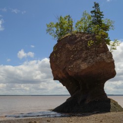 hopewell rock head silhouette-2