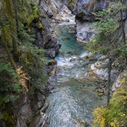 Johnston Canyon river