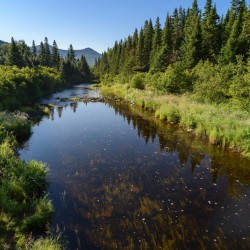 Mount Katahdin campsite Nesowadnehunk river 2